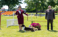 /album/klubova-vystava-10-05-2025/1-57-jpg/